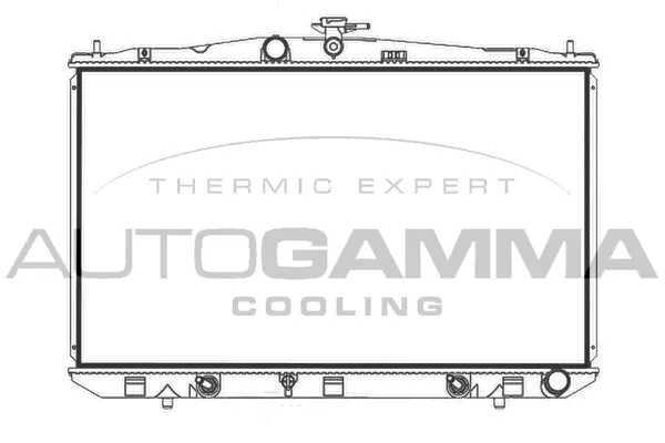 Radiator, engine cooling (107966)