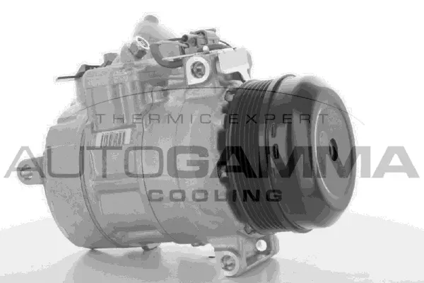 Compressor, air conditioning (118525)