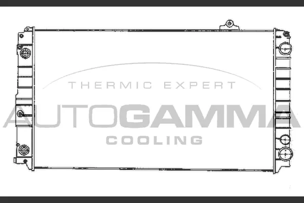 Radiator, engine cooling (102027)