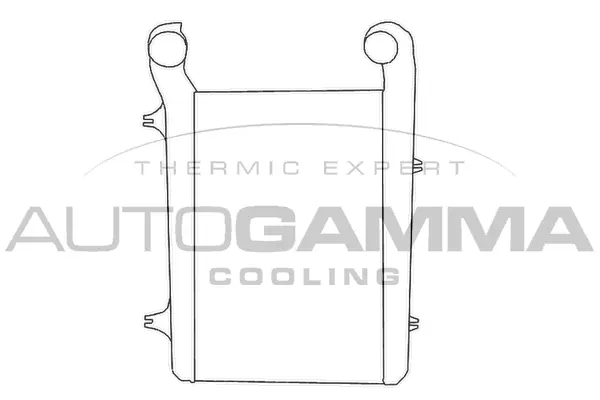 Charge Air Cooler (404436)