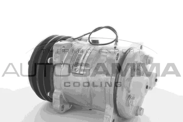 Compressor, air conditioning (109106)