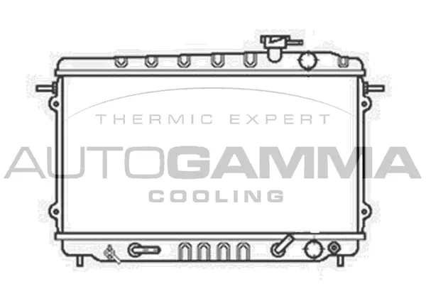 Radiator, engine cooling (100403)