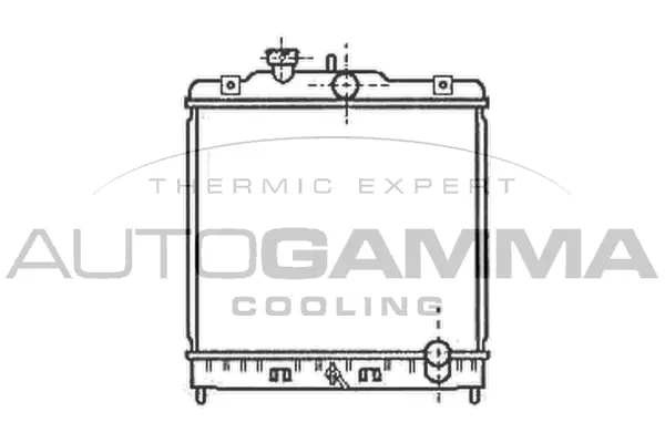Radiator, engine cooling (102105)
