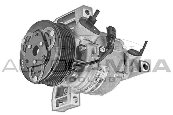 Compressor, air conditioning (118624)