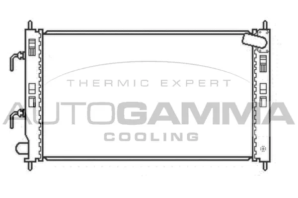 Radiator, engine cooling (107229)
