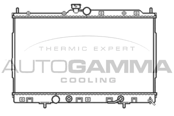 Radiator, engine cooling (105052)