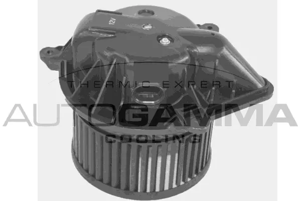 Interior Blower (GA35010)