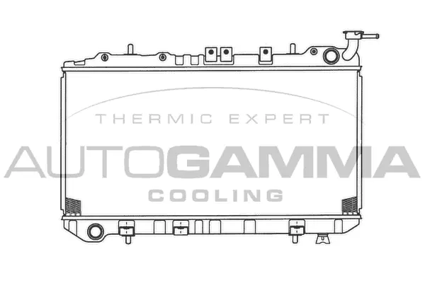 Radiator, engine cooling (101221)