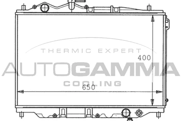 Radiator, engine cooling (100498)