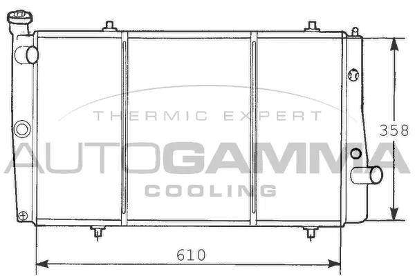Radiator, engine cooling (100445)