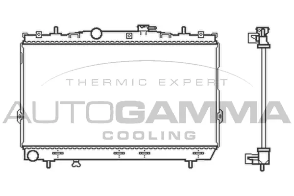 Radiator, engine cooling (104085)