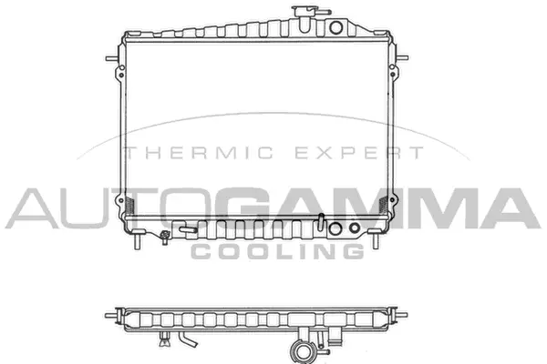 Radiator, engine cooling (102102)