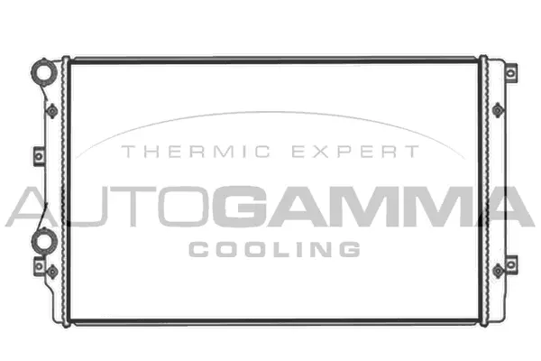 Radiator, engine cooling (103565)