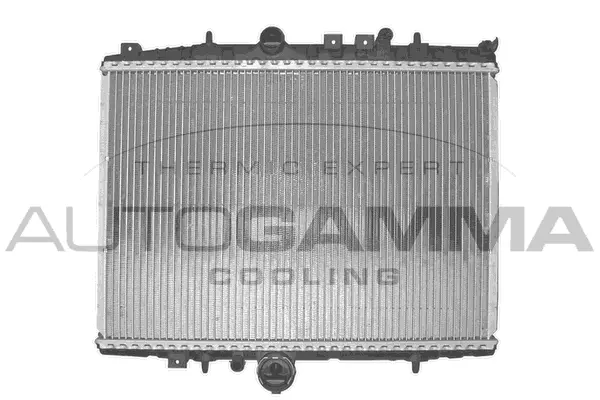 Radiator, engine cooling (102590)
