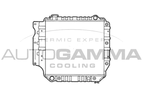 Radiator, engine cooling (102132)