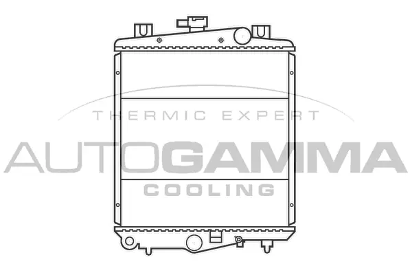 Radiator, engine cooling (100139)