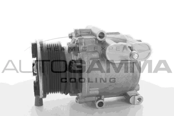 Compressor, air conditioning (108661)