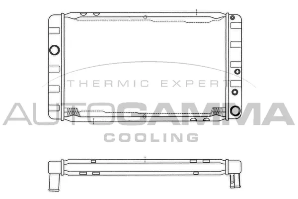 Radiator, engine cooling (101102)