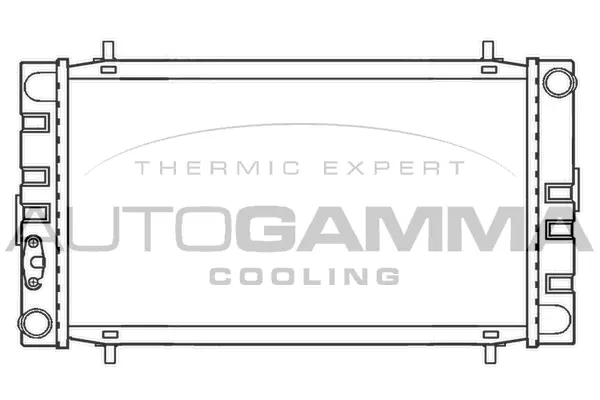 Radiator, engine cooling (100072)