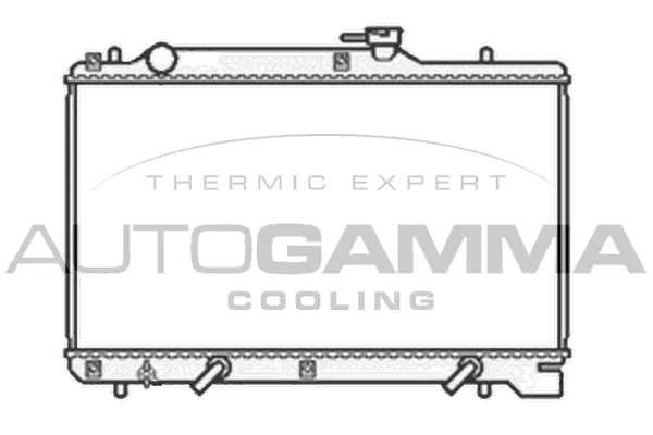Radiator, engine cooling (104189)