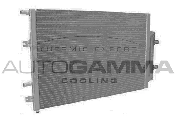 Radiator, engine cooling (107934)