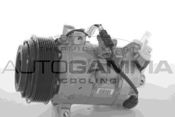Compressor, air conditioning (118562)
