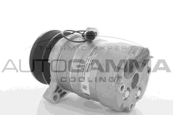 Compressor, air conditioning (108953)