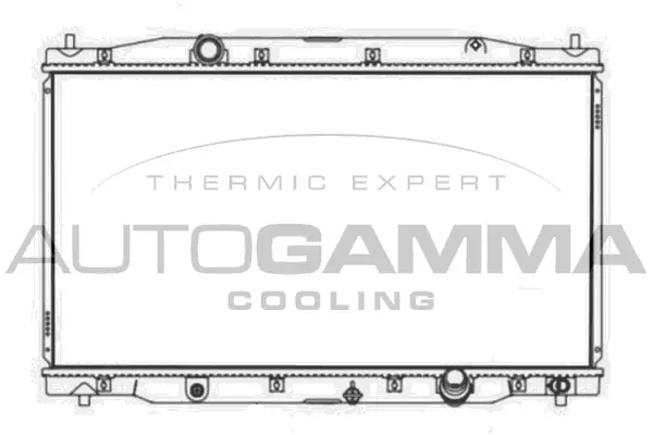 Radiator, engine cooling (107578)