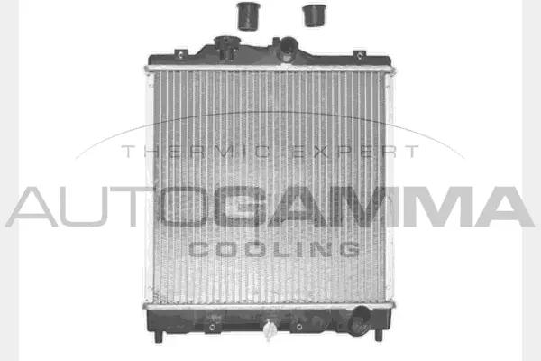 Radiator, engine cooling (101372)