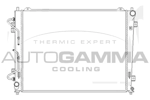 Radiator, engine cooling (104842)