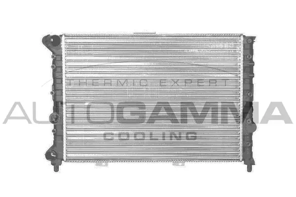 Radiator, engine cooling (101142)