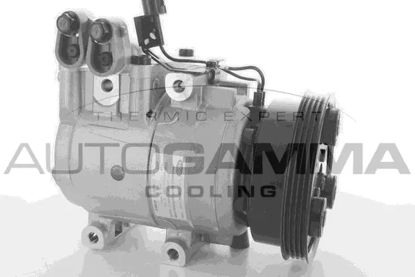 Compressor, air conditioning (108258)
