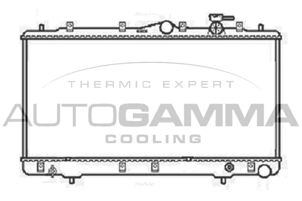 Radiator, engine cooling (104063)