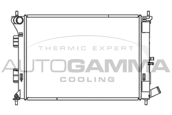 Radiator, engine cooling (107331)
