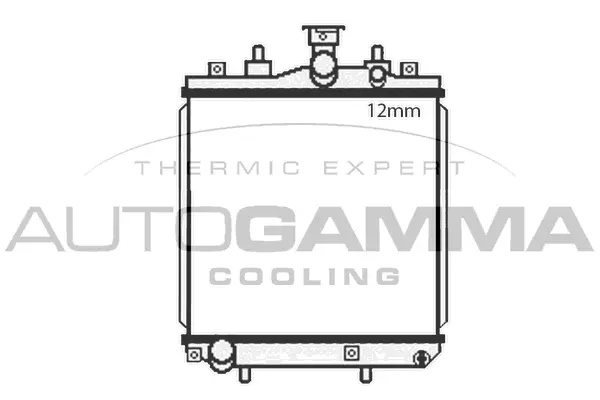 Radiator, engine cooling (107948)
