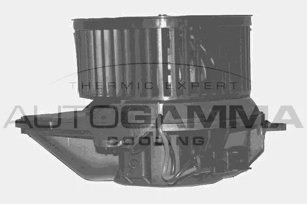 Interior Blower (GA20339)
