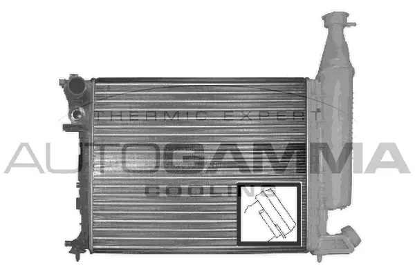 Radiator, engine cooling (100155)