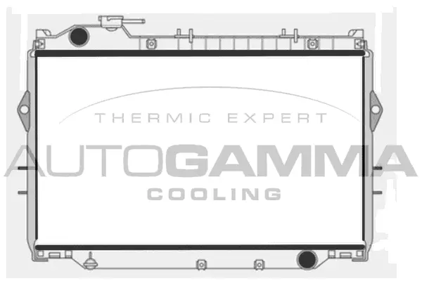 Radiator, engine cooling (102366)