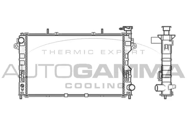 Radiator, engine cooling (103400)