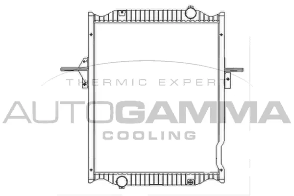 Radiator, engine cooling (404580)