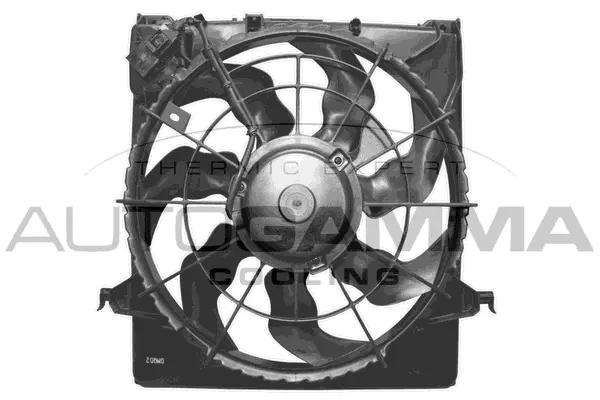 Fan, engine cooling (GA228206)