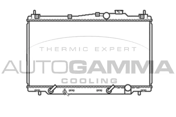 Radiator, engine cooling (105045)