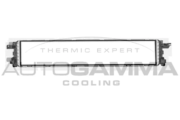 Radiator, engine cooling (107419)