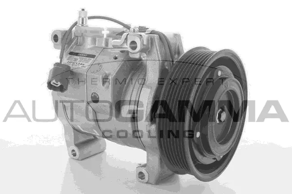 Compressor, air conditioning (118479)