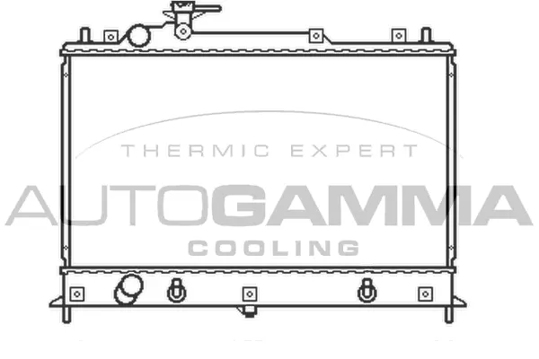 Radiator, engine cooling (105166)