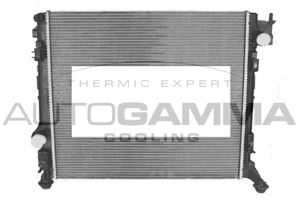 Radiator, engine cooling (107628)