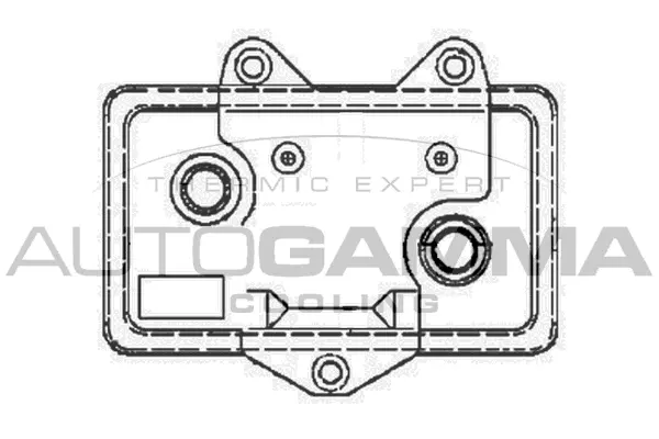 Oil Cooler, engine oil (104631)