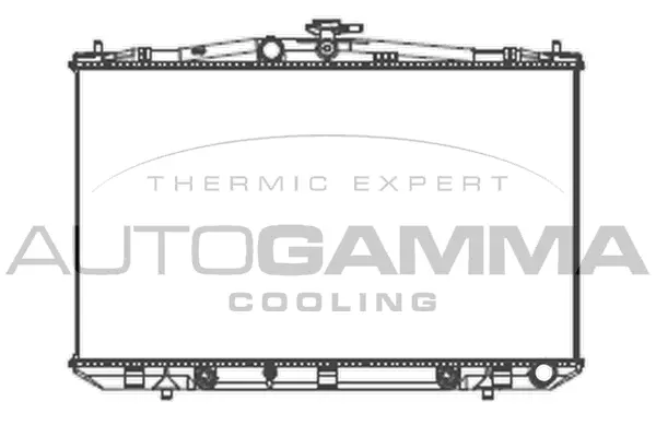 Radiator, engine cooling (107527)