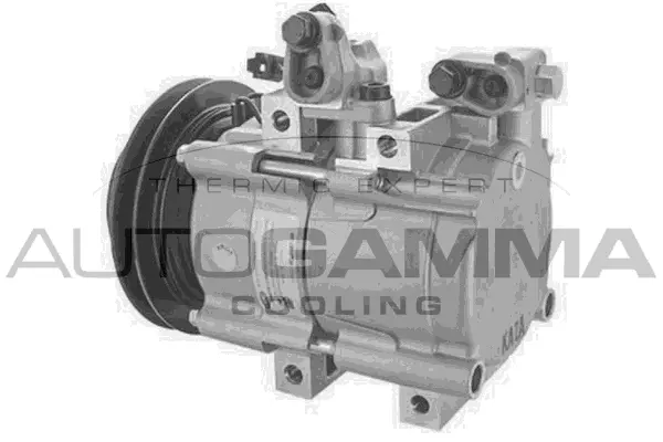 Compressor, air conditioning (118739)