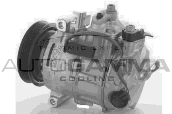 Compressor, air conditioning (118622)
